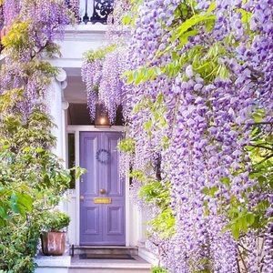 Meet your Posher, Wanda